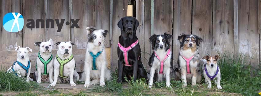 anny·x 樂趣胸背帶